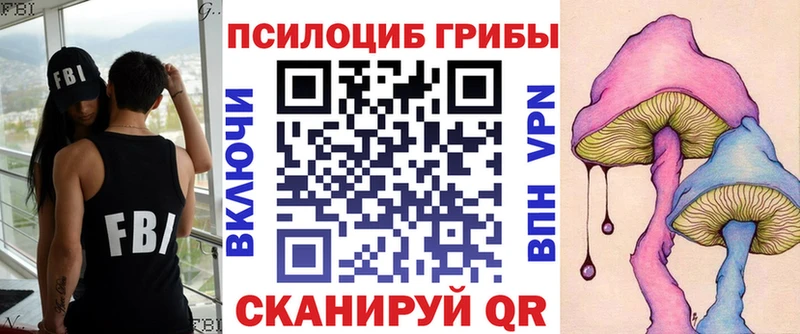 даркнет сайт Ивантеевка Псилоцибиновые грибы MAGIC MUSHROOMS